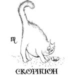 Скорпион 24 октября - 22 ноября