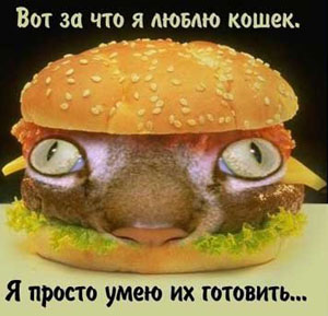 Крупнокусковые мясные блюда