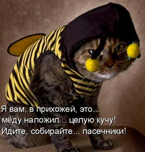 Я вам там, в прихожей, это... меду наложил... целую кучу! Идите, собирайте... пасечники!
